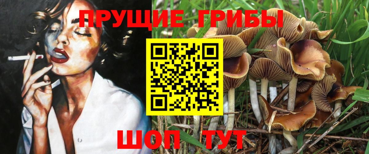 Псилоцибиновые грибы Psilocybine cubensis  Вход с VPN  Нефтекамск  Галлюциногенные грибы мицелий 
